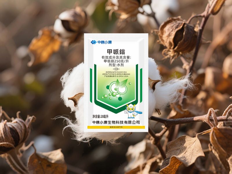 Cotton regulates growth/increases yield