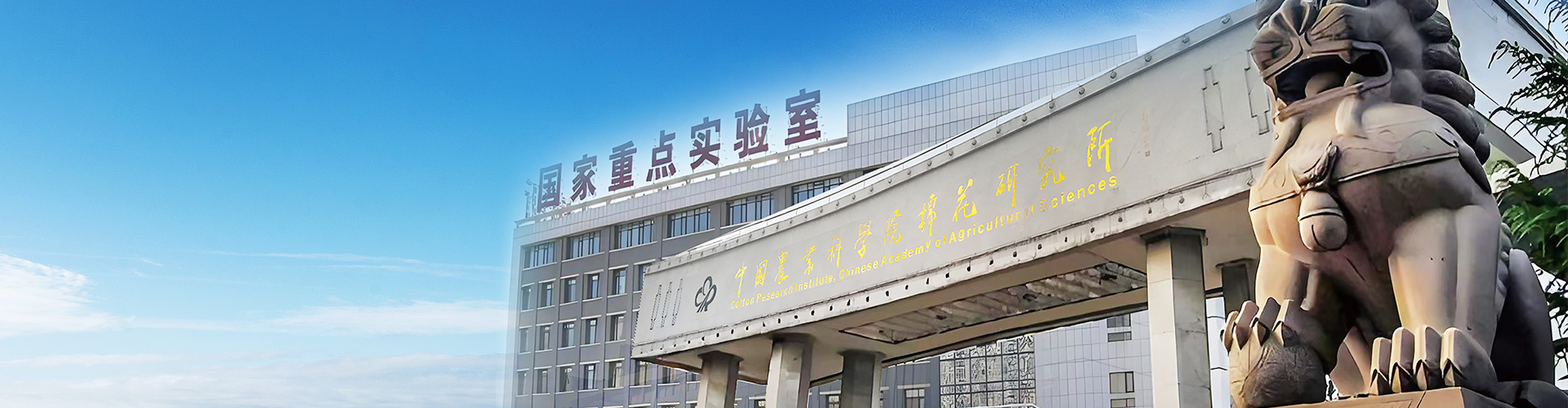 Zhongmian Xiaokang Biotechnology Co., Ltd
